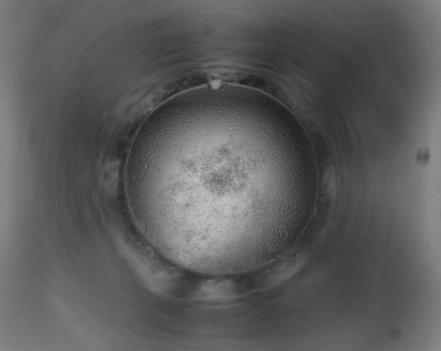 X0000112510271200908241427