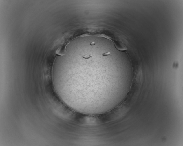 X0000112510272200908241427