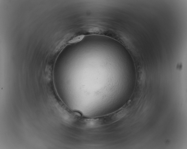 X0000112510273200908241427