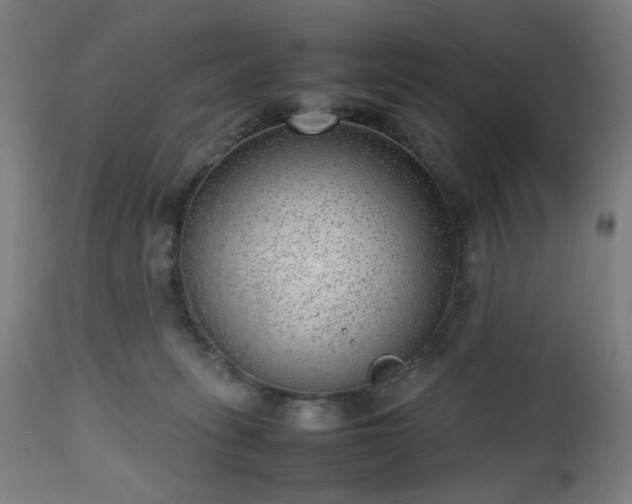 X0000112510275200908241427