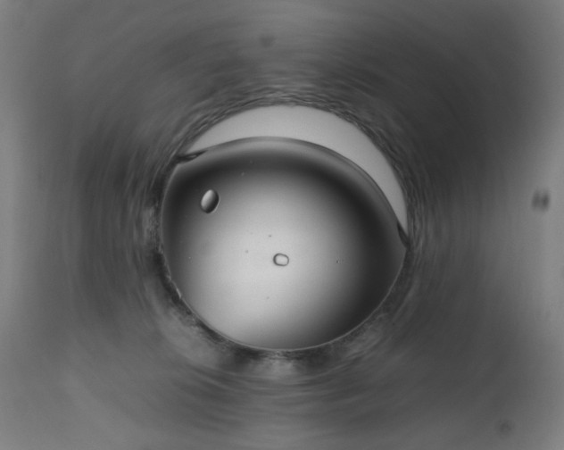 X0000112510276200908241427