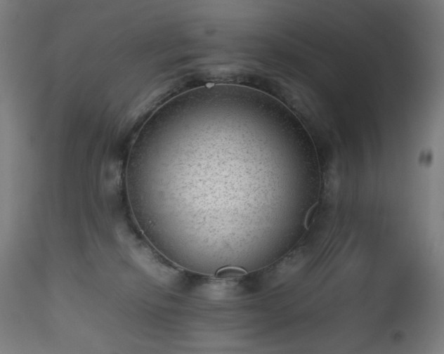 X0000112510278200908241427