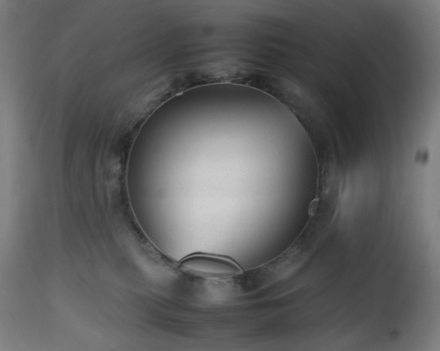 X0000112510279200908241427