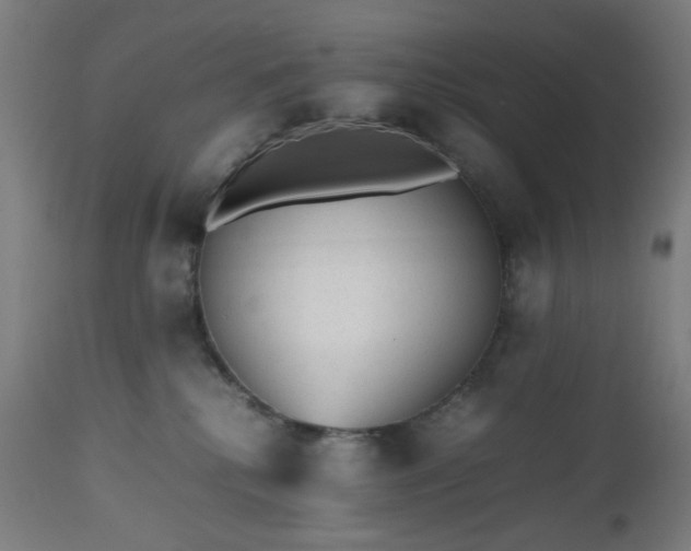 X0000112510280200908241427