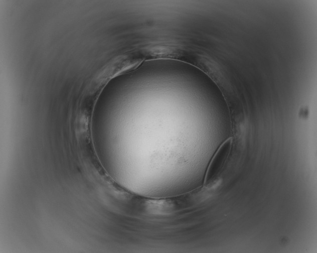 X0000112510281200908241427