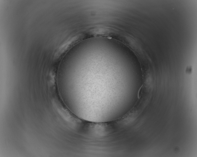 X0000112510282200908241427