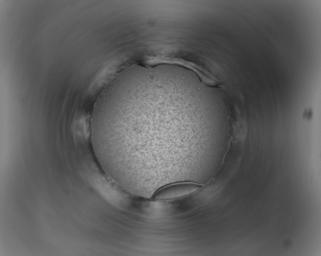 X0000112510286200908241427