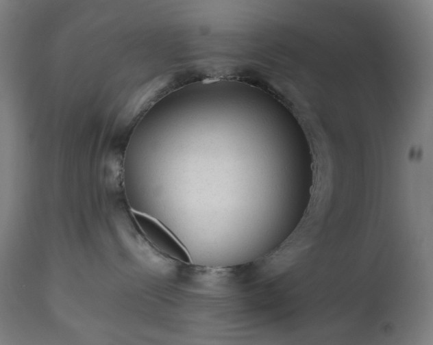 X0000112510288200908241427