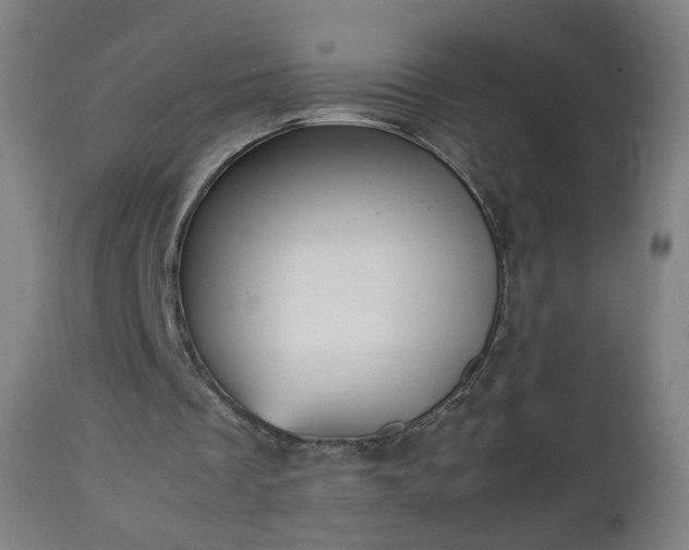 X0000112510289200908241427