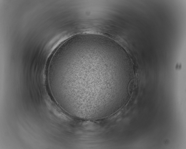 X0000112510290200908241427