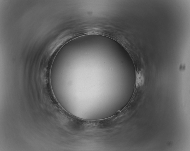 X0000112510291200908241427