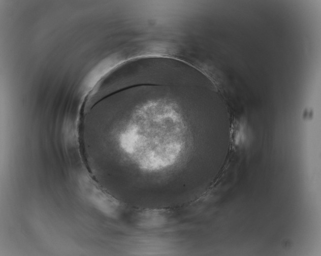 X0000112510292200908241427