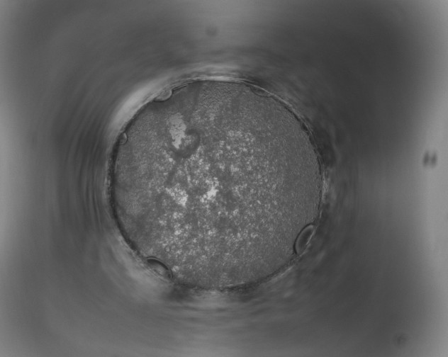 X0000112510293200908241427