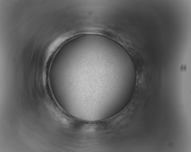 X0000112510294200908241427