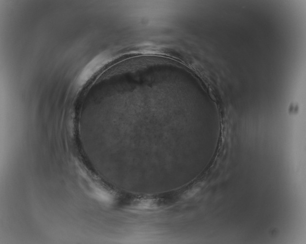 X0000112510295200908241427