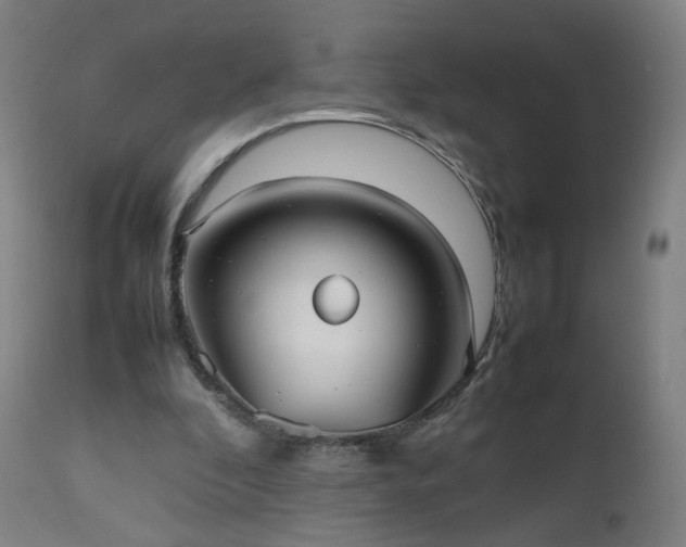 X0000112510296200908241426