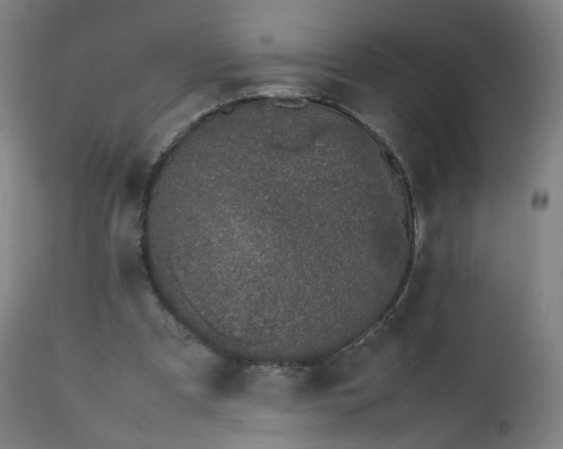 X0000112510297200908241426