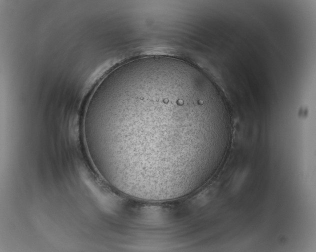 X0000112510298200908241426