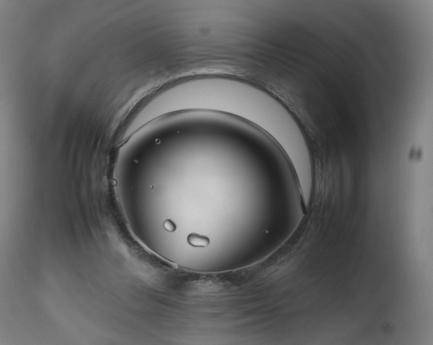 X0000112510300200908241426