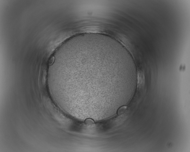 X0000112510301200908241426