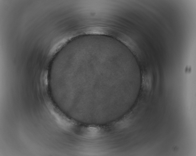 X0000112510302200908241426