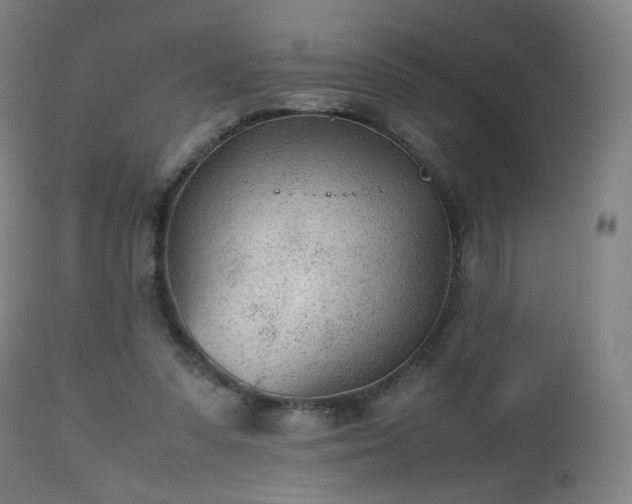 X0000112510303200908241426