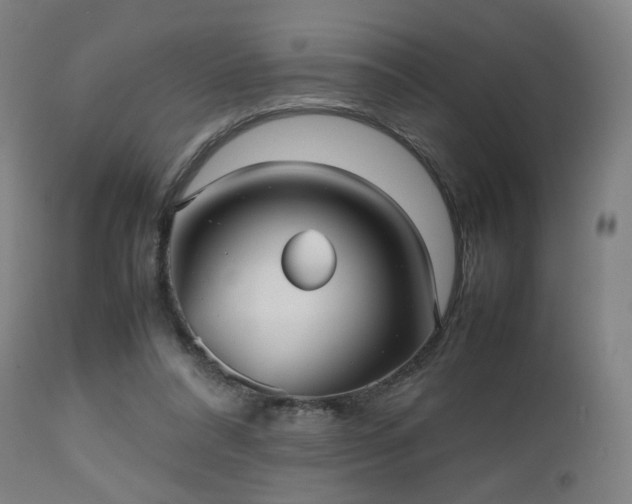 X0000112510304200908241426