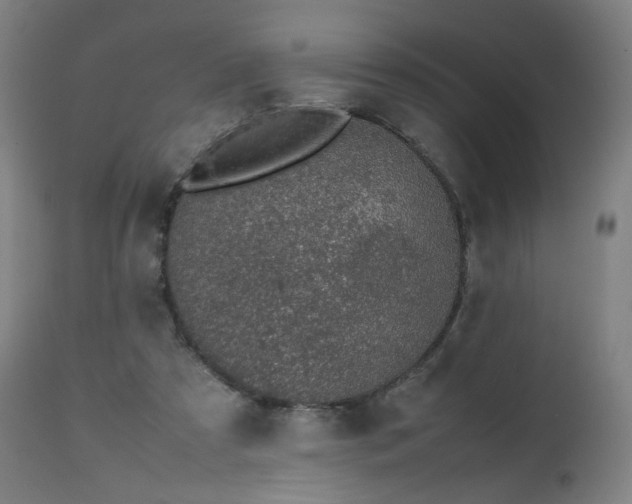 X0000112510305200908241426