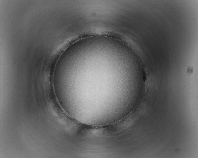 X0000112510306200908241426