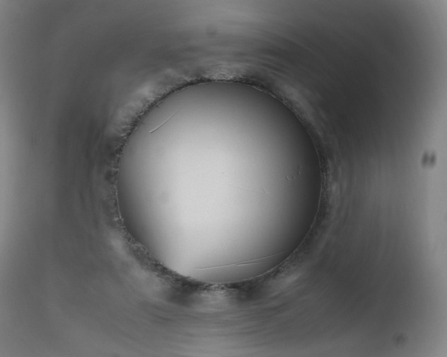 X0000112510307200908241426