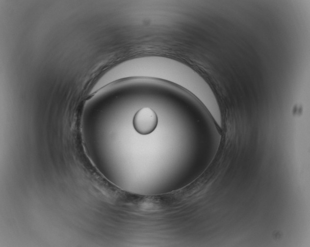 X0000112510308200908241426