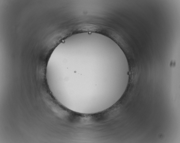 X0000112510309200908241426