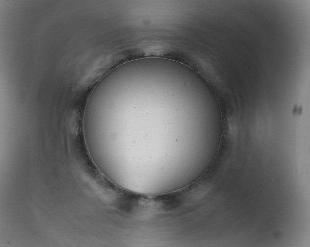 X0000112510311200908241426