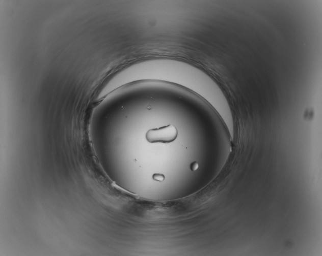 X0000112510312200908241426