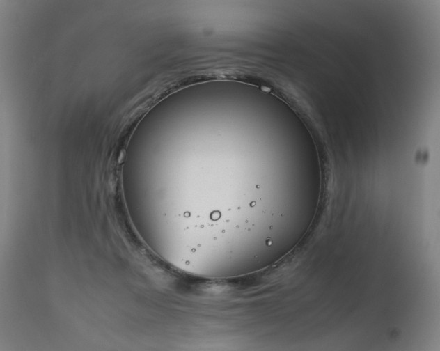 X0000112510313200908241426