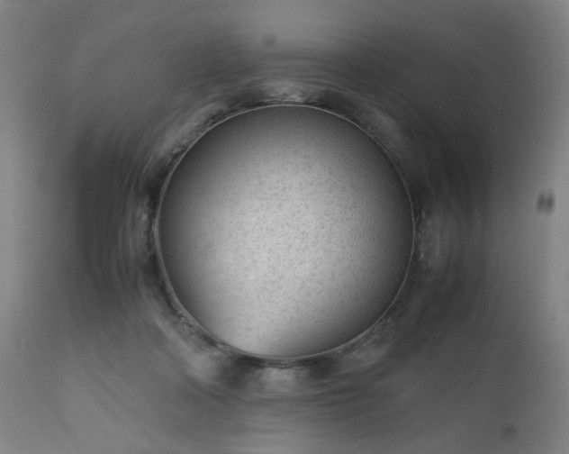 X0000112510314200908241426