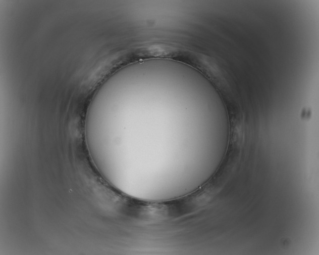 X0000112510317200908241426