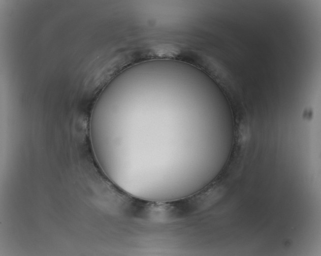 X0000112510321200908241426