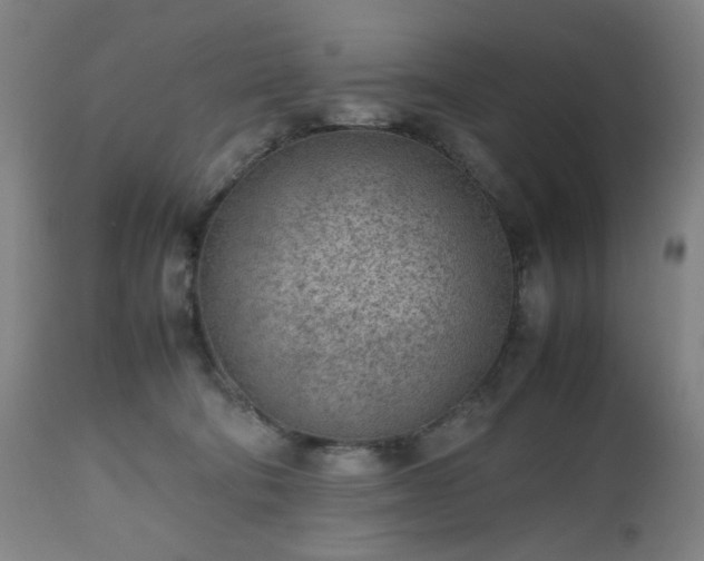 X0000112510322200908241426