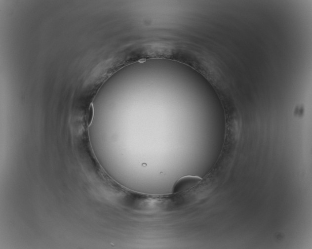 X0000112510323200908241426