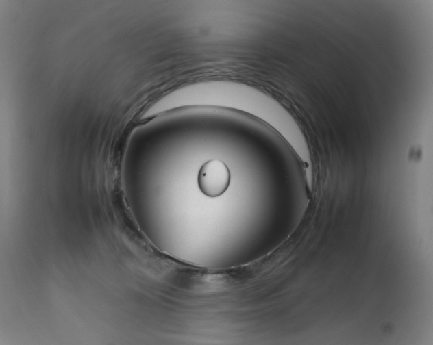 X0000112510324200908241426