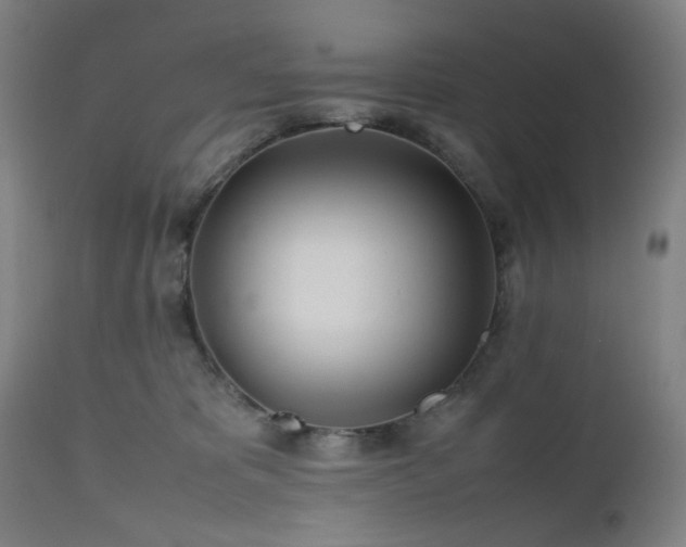 X0000112510325200908241426