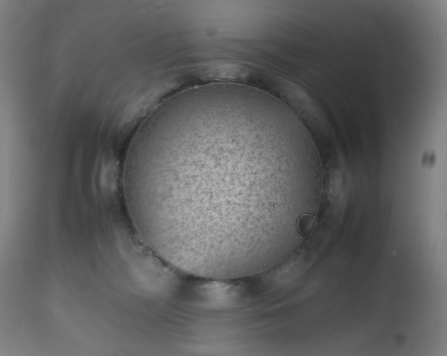 X0000112510326200908241426