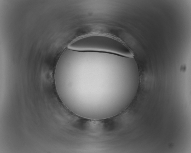 X0000112510327200908241426