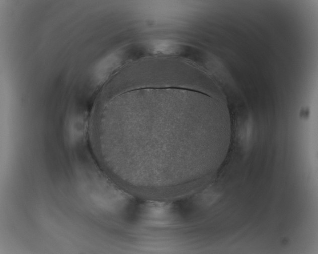 X0000112510328200908241426