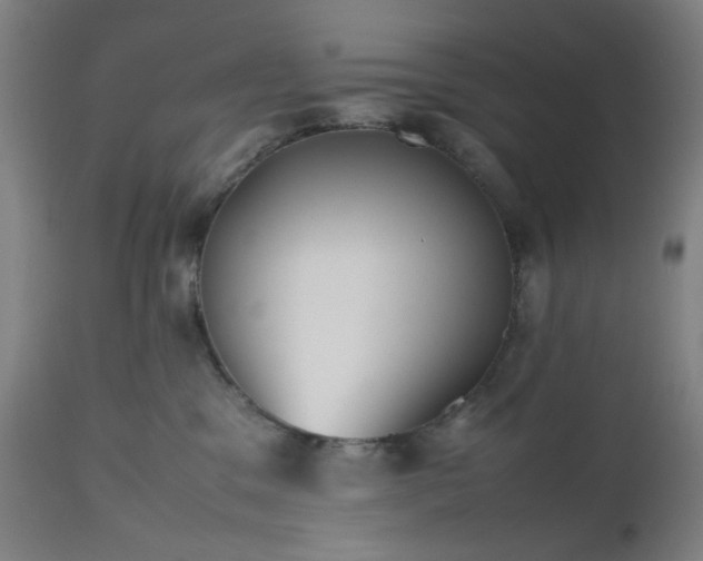 X0000112510329200908241426