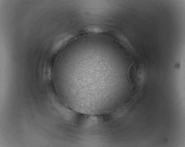 X0000112510330200908241426