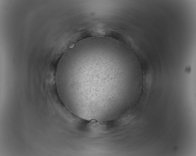 X0000112510331200908241426