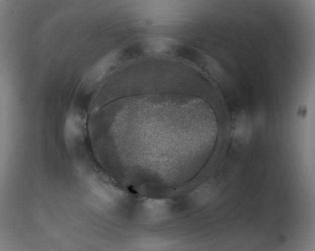 X0000112510332200908241426