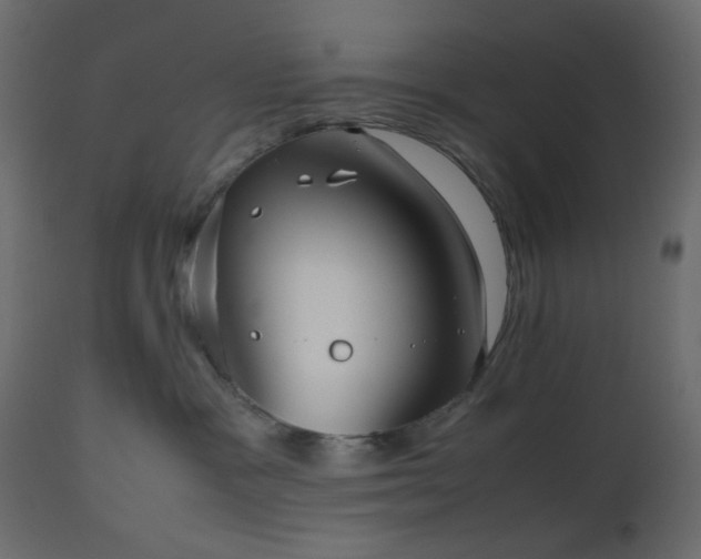 X0000112510333200908241426